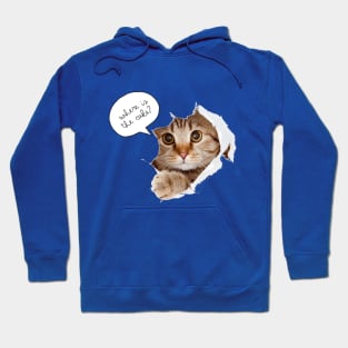 Funny Cats Hoodie